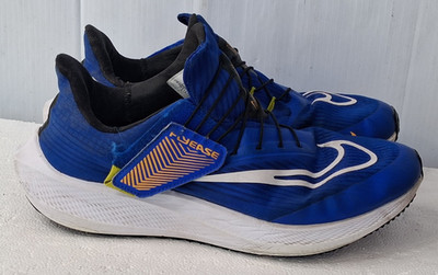 Nike Air Zoom Pegasus 39 Flyease Sneakers Mens Size 11 Blue/Gold