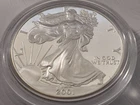 2001 W American Eagle ONE DOLLAR $1 USD 1 OZ-T .999 Silver Proof Coin-FREE SHIP-