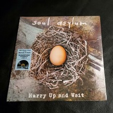 SOUL ASYLUM Hurry Up and Wait RSD 2020 10/24 LP sealed VINYL Record Bonus 7" NEW