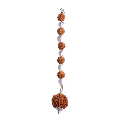7 Mukhi Nepal Rudraksha Original Hanging For Financial Stability 24mm-25mm