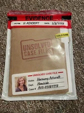 unsolved case files game