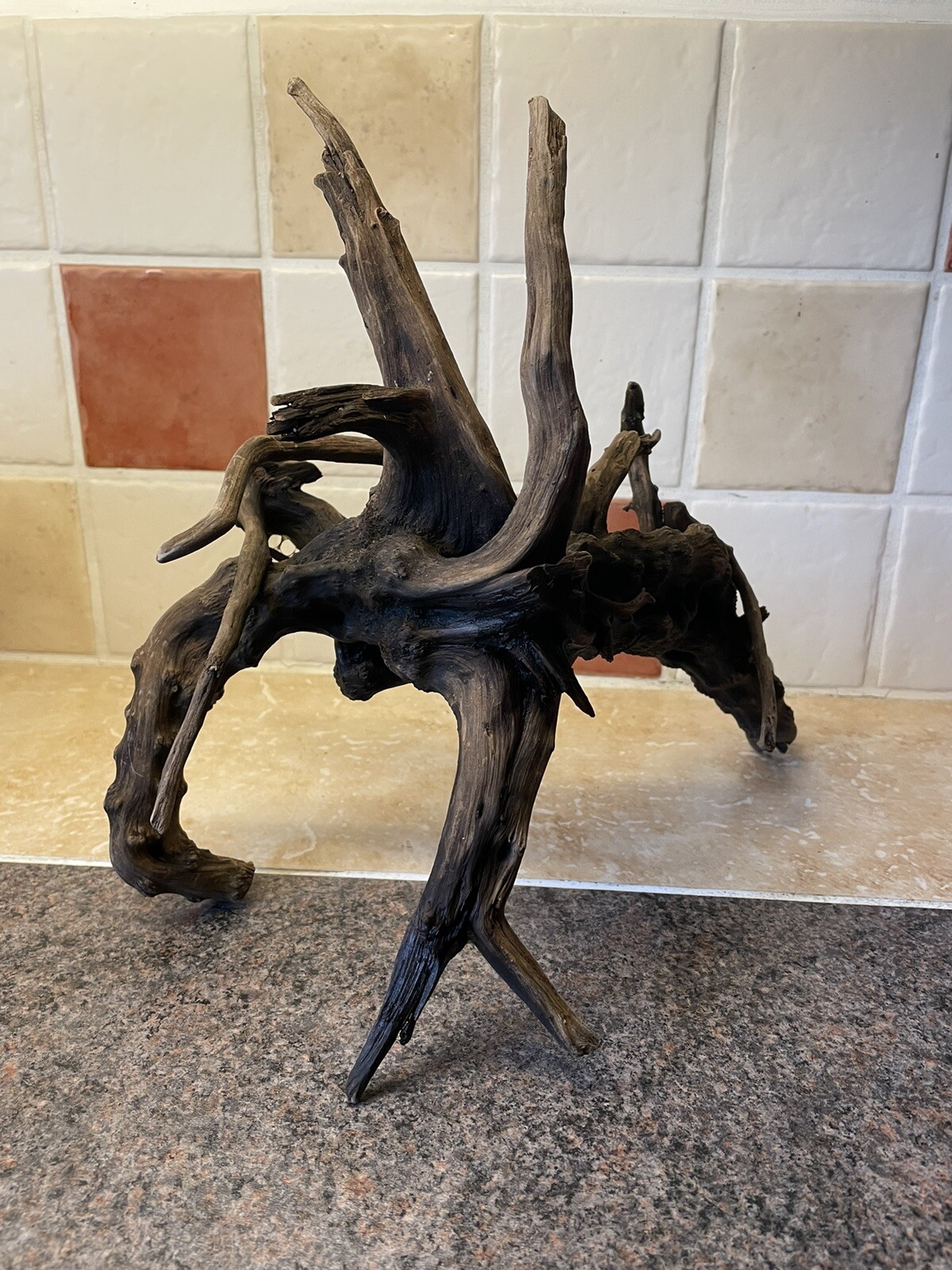 Aquarium Bogwood/Driftwood Interesting Shape eBay