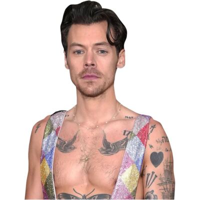 Harry Styles (Colourful) Half Body Buddy Cutout