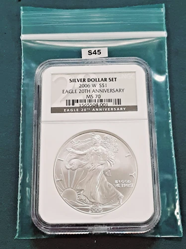 2006 W NGC MS70 Brown Label .999 Fine Silver American Silver Eagle! S45