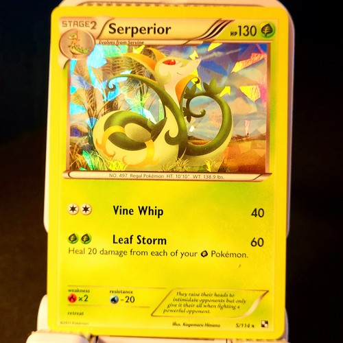 Serperior 5/114 Cracked Ice Holo Back & White Base Set Pokemon Card 2011 NM