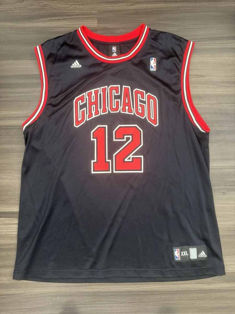 Kirk Hinrich Jersey In Nba Fan Apparel & Souvenirs for sale | eBay