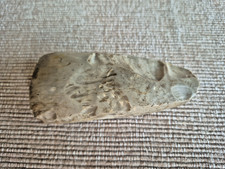 Original Steinzeit Flintaxt Skåne Schweden S...