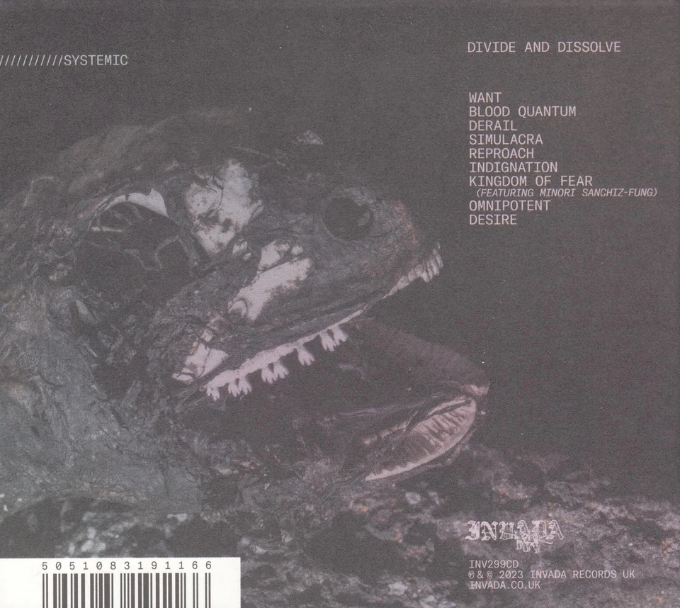 Divide and Dissolve ‎– Systemic (CD) - Bild 2 von 2