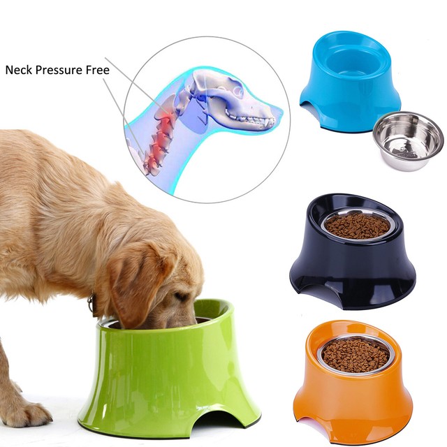 elevated dog food bowl
