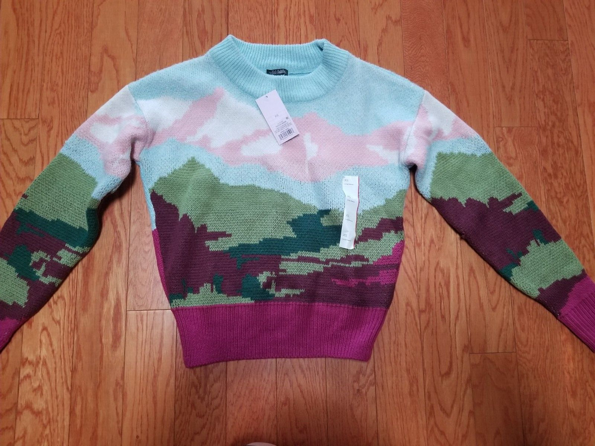 WILD FABLE TARGET COLORFUL MOUNTAIN SCENIC PRINT SWEATER SIZE XS | eBay