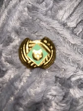 Current Style Boy Cub Scout Bear Rank Neckerchief N/C SLIDE BSA See Description