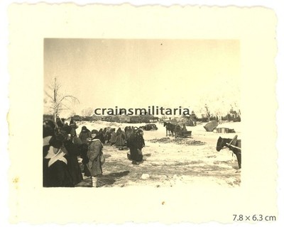 Genuine Photo Russian Refugees Population 292nd ID before Moscow Russia 1942