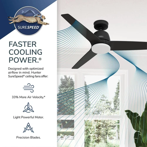 Hunter + Jasmine Roth 52 Malden Ceiling Fan W/ LED Light, Remote - Casual, - - Picture 6 of 24