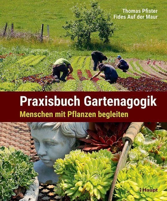 Bild 1 von 1
