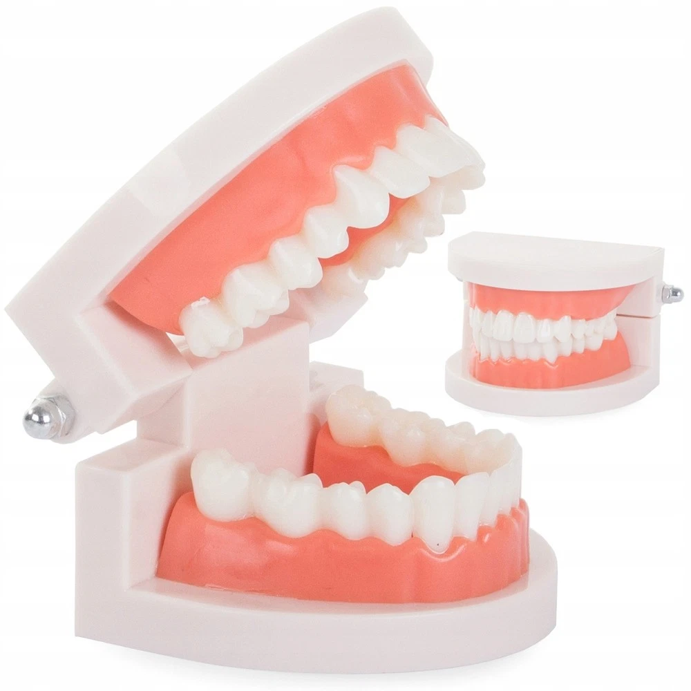 Knstliche Zhne online kaufen | eBay.de