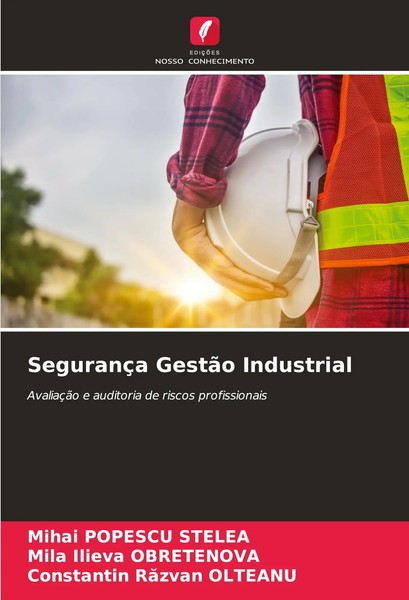 SegurançA GestãO Industrial AvaliaçãO E Auditoria De Riscos Profissionais Buch-image
