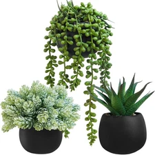 Winlyn Set of 3 Artificial Succulent Plants in Black Concrete Pots Faux Aloe ...