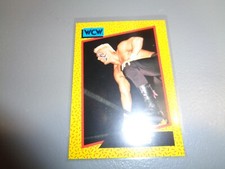 WCW WORLD CHAMPIONSHIP WRESTLING 1991 TRADING CARD # 13 STING