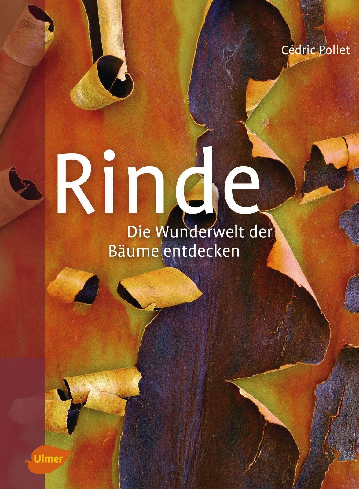 Thumbnail - Rinde Die Wunderwelt Der Bäume Entdecken Cédric Pollet Buch 192 S.