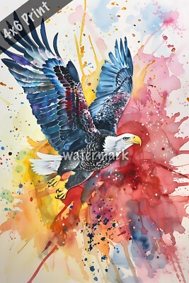 Eagle soaring above the flag with watercolor Art 4x6 Print