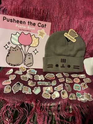 Pusheen The Cat Lot! Poster Book Beanie And 36x Sticker Flakes  Vintage 2016