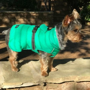 alpine puffer dog coat
