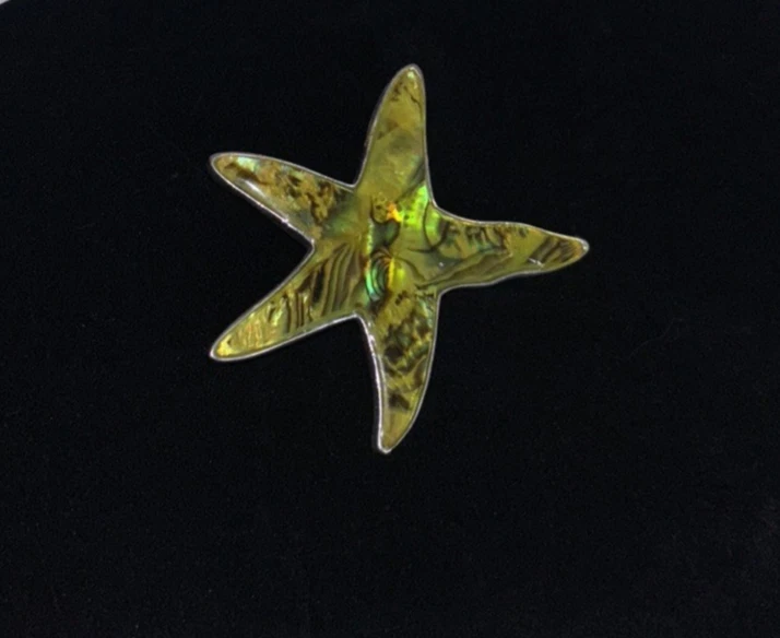 Broche Estrella de Mar / Pendiente Colgante a Juego Amarillo Multicolor Concha Náutica Foto 2 de 4