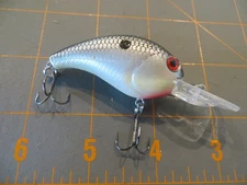 H2O Xpress Crankbait - Silver Shad - 3 inch