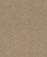 Rasch Tapete 520286 Concrete Vliestapete Wischoptik Goldbraun (4,19€/1Qm)
