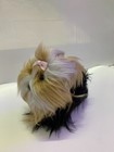 Bild 2 von 3