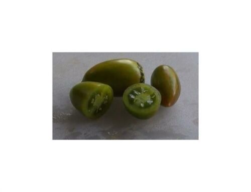 16x Tomato Artisan Green & Pink Tiger Old Variety Vegetables Plants - Seeds K233 - Bild 1 von 8