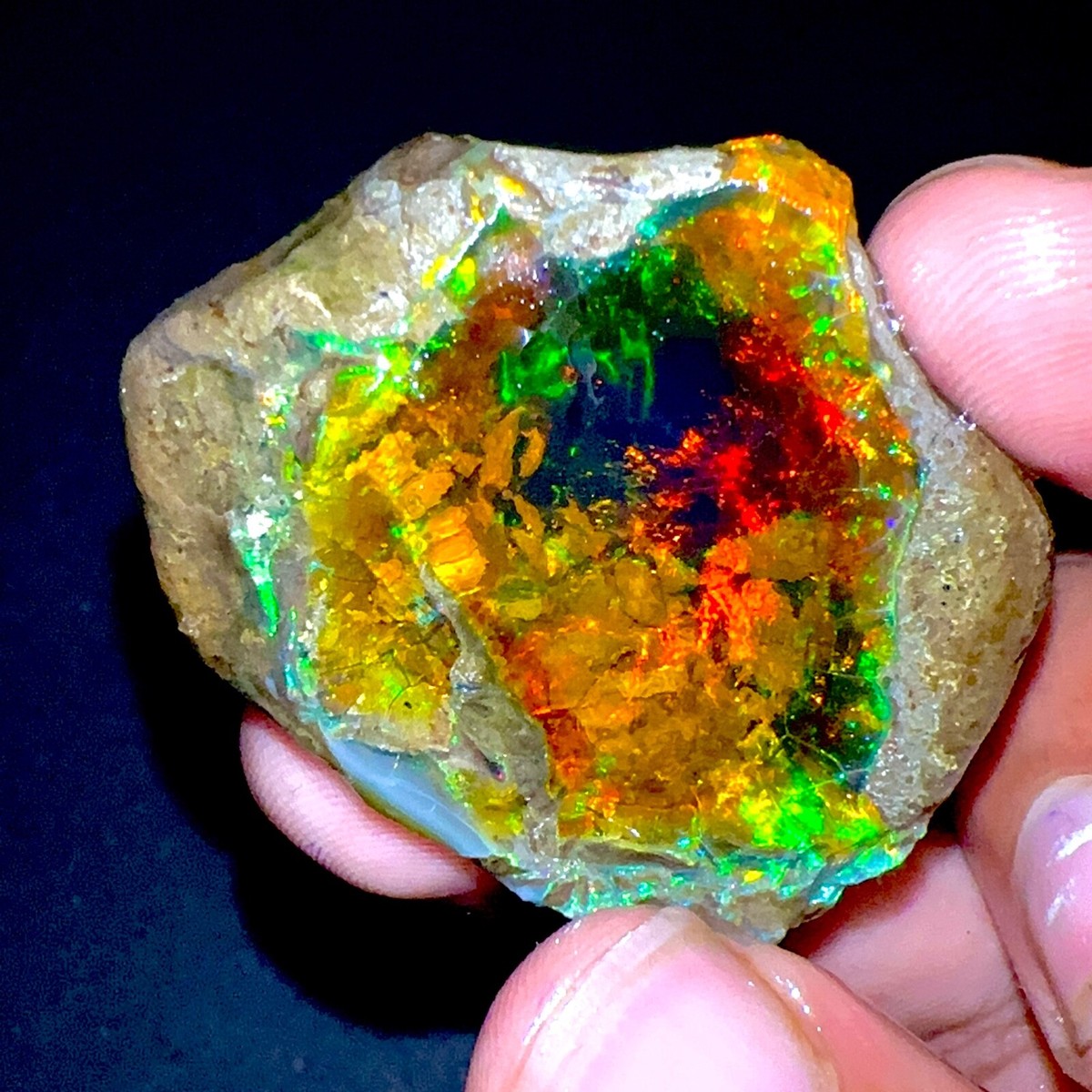 NORTHWAVE OPAL 23㎝ NORTHWAVE OPAL 23㎝ 6.84ct Natural Dark Opal - Oval Neon