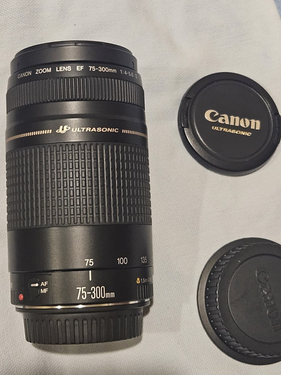 Canon Ultrasonic Zoom Lens EF 75-300mm 1:4-5.6 II | eBay