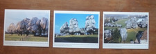 3 Christo and Jeanne-Claude, Wrapped Trees, Three Promotional Photographs, 1998