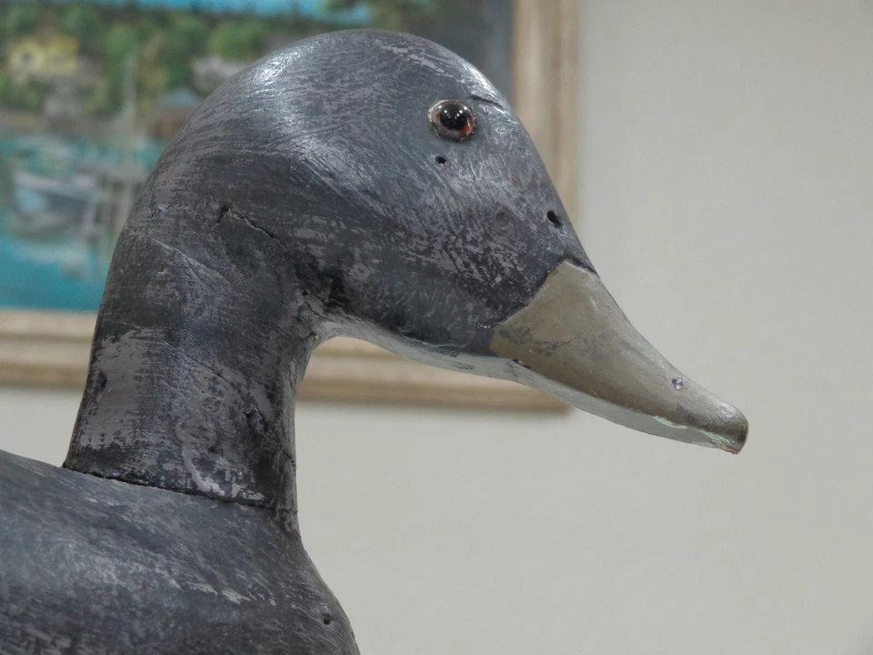 RARO Y HERMOSO SEÑUELO DE PATO DE MADERA NEGRA TALLADO/PINTADO A MANO DE 17" ¡DEBES VERLO! Foto 3 de 4