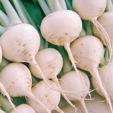 White Turnip Seeds Snowball Heirloom, NON-GMO,
