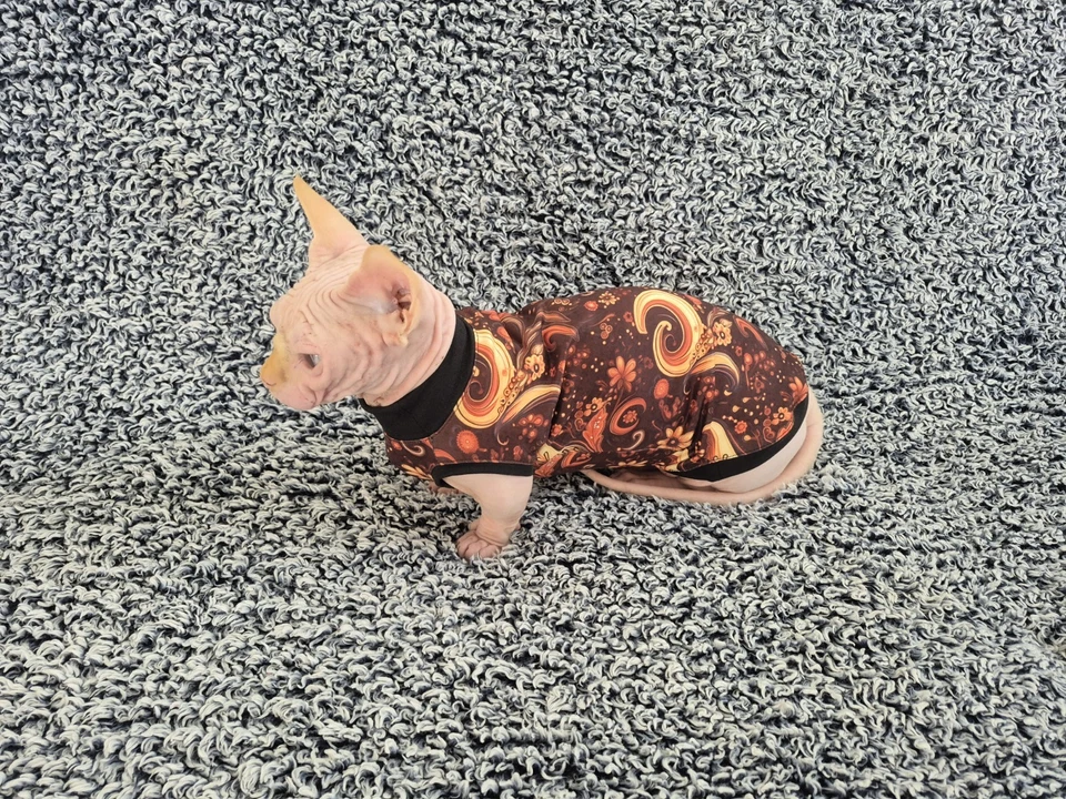 Ручной работы сфинкс Cat одежды Cat одежды сфинкс свитер бамбино Cat одежды Cat - Изображение 2 из 4