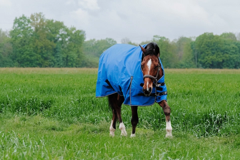 Pferde Outdoordecke Weidedecke Regendecke 50g High Neck 1200D Ekkia 150 cm - Bild 2 von 4