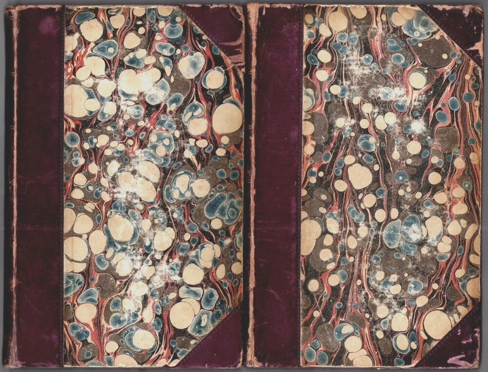 1865 Our Mutual Friend, Charles Dickens 2 Vol, 1st, 1st, Marcus Stone Illus - Image 2 of 4