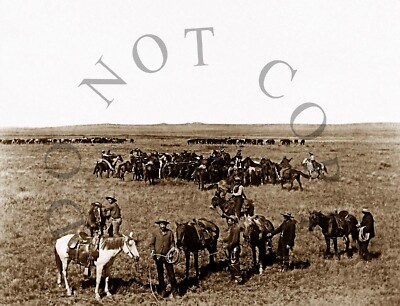 ANTIQUE OLD WEST REPRODUCTION PHOTOGRAPH PRINT OF COWBOYS AND HORSES