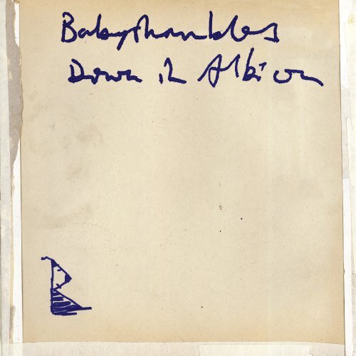 Babyshambles Down In Albion CD NEW