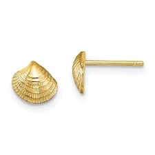14k Yellow Gold Mini Clam Shell Earrings