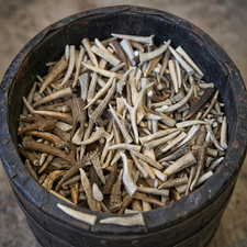 BULK 10 Pounds - Deer Elk Antler Tips, Tines Slightly Blemished - 1" to 6"