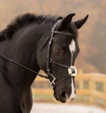 KL Select Black Oak Birch Black Figure 8 Bridle- CLOSEOUT