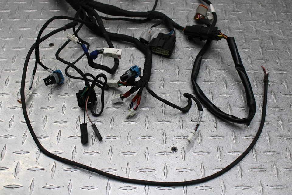 Indian Chief Classic 2015 arnés de cableado del motor principal (tiene video en funcionamiento) Foto 3 de 4