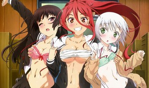 Get G631 Oniichan Dakedo Ai Sae Areba Kankeinai Yo Ne Anime Chicas For iPhone Wallpaper G631 Oniichan Dakedo Ai Sae Areba Kankeinai Yo Ne Anime Chicas For iPhone Free