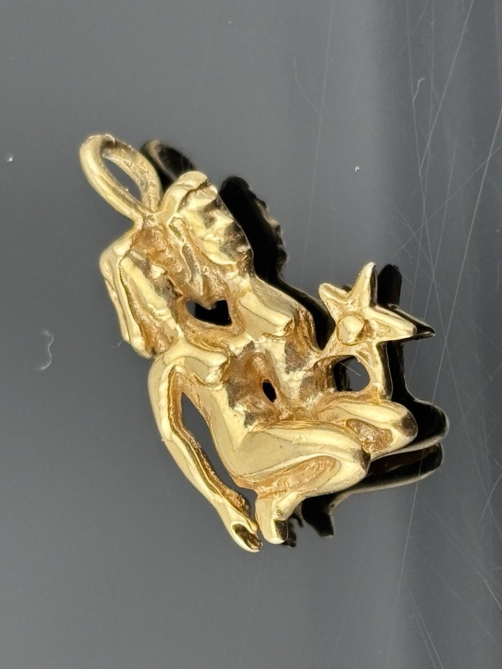 HEFTY Solid 14k Yellow Gold GEMINI TWINS Pendant w Star Naked Sisters