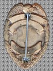 Obsolete PATROLMAN Wickenburg Arizona Police Badge – Eagle Top – Excellent — photo 2
