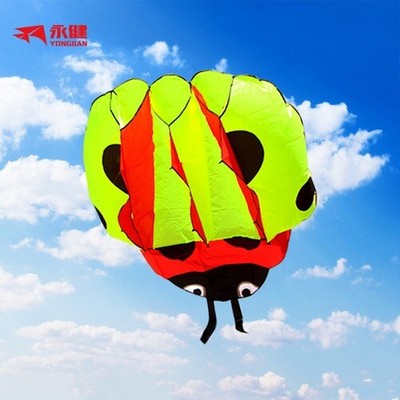 Kite Ladybug Beetle Soft Three-dimensional Kite Skeletonless Children Cartoon