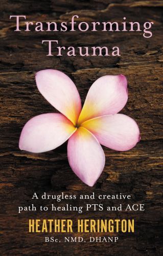 Transforming Trauma : A Drugless and Creative Path to Healing PTS and ACE by ...